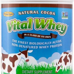 Well Wisdom - Vital Whey Natural Cocoa Flavor 600g (21oz) [Health and Beauty].