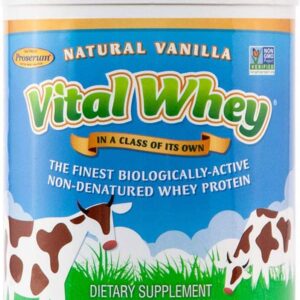 Well Wisdom - Vital Whey Natural Vanilla Flavor 600g (21oz) [Health and Beauty], natural vanilla.